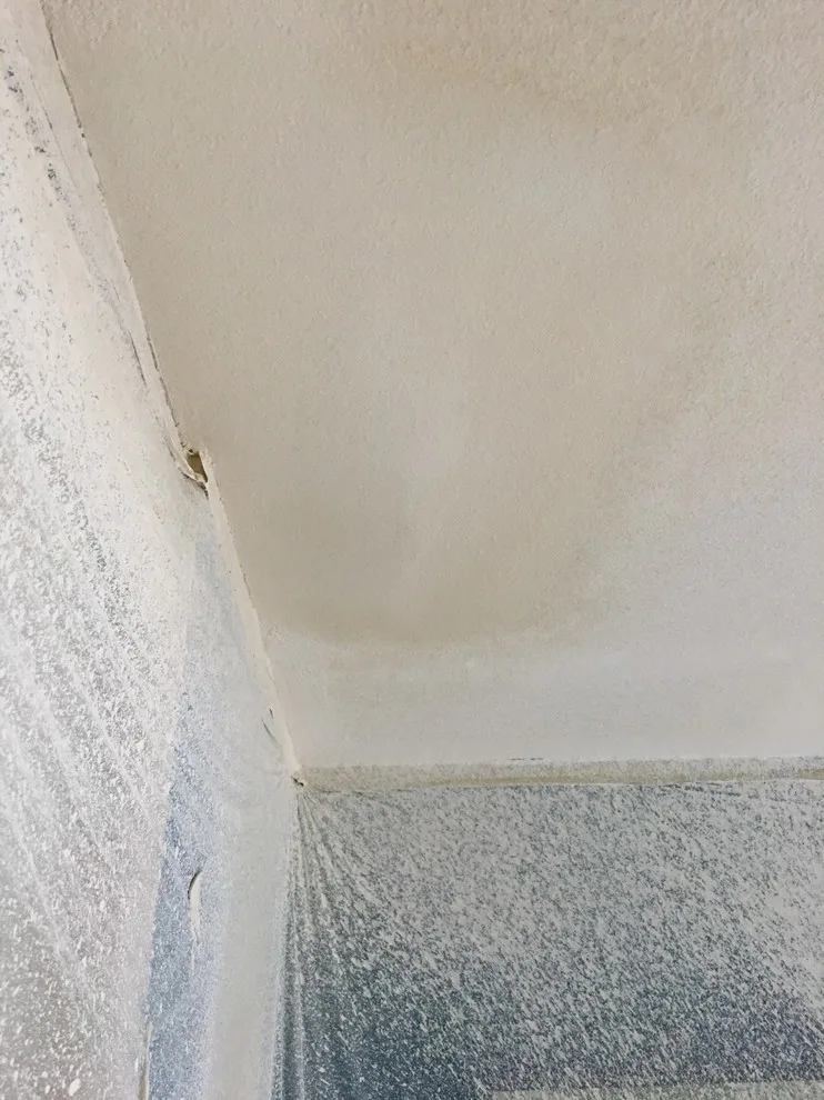 Popcorn Texture Elimination and Resurfacing by Martn Carabajal Painting - Photo 11