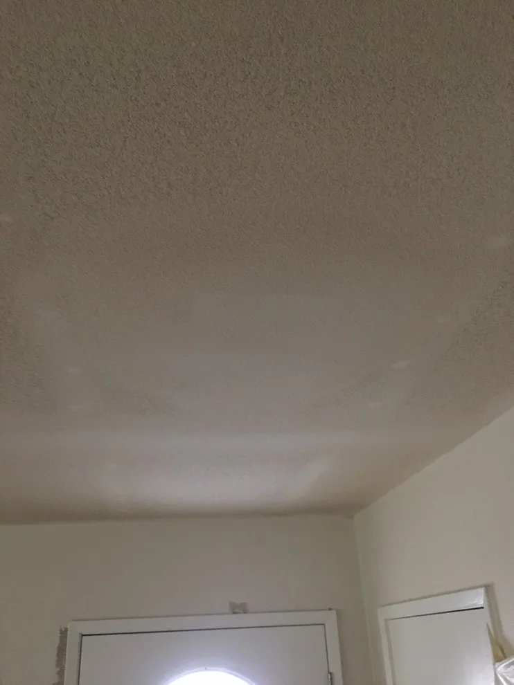 Popcorn Texture Elimination and Resurfacing by Martn Carabajal Painting - Photo 5
