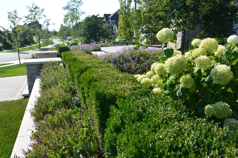 Residential Landscape Styles by Great Oaks Landscape Associates Inc. - Photo 39