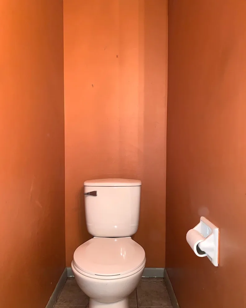Mood Transformation in the Powder Room by Aimee Struble - Photo 3