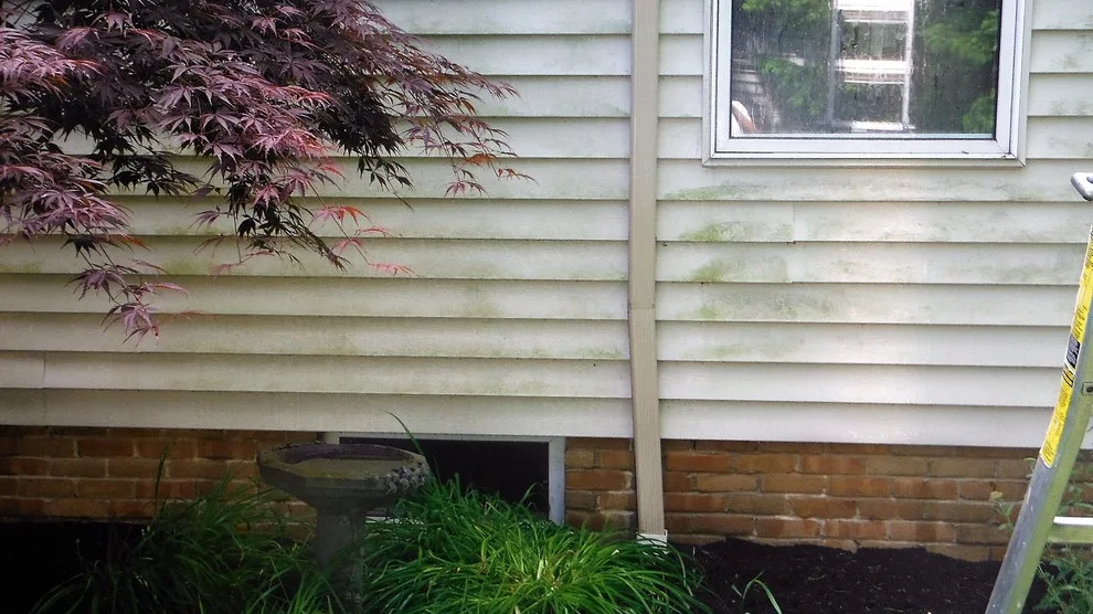 Pressure Washing by Kane Painting - Photo 10