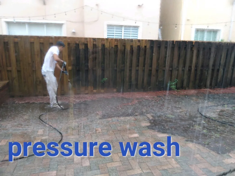 Surface Cleaning by Dehm Painting Service Corp - Photo 3