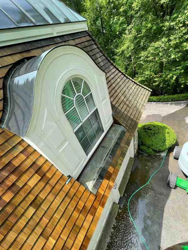 Ramirez Landscaping & Renovation INC by Ramirez Landscaping & Renovation INC - Photo 21