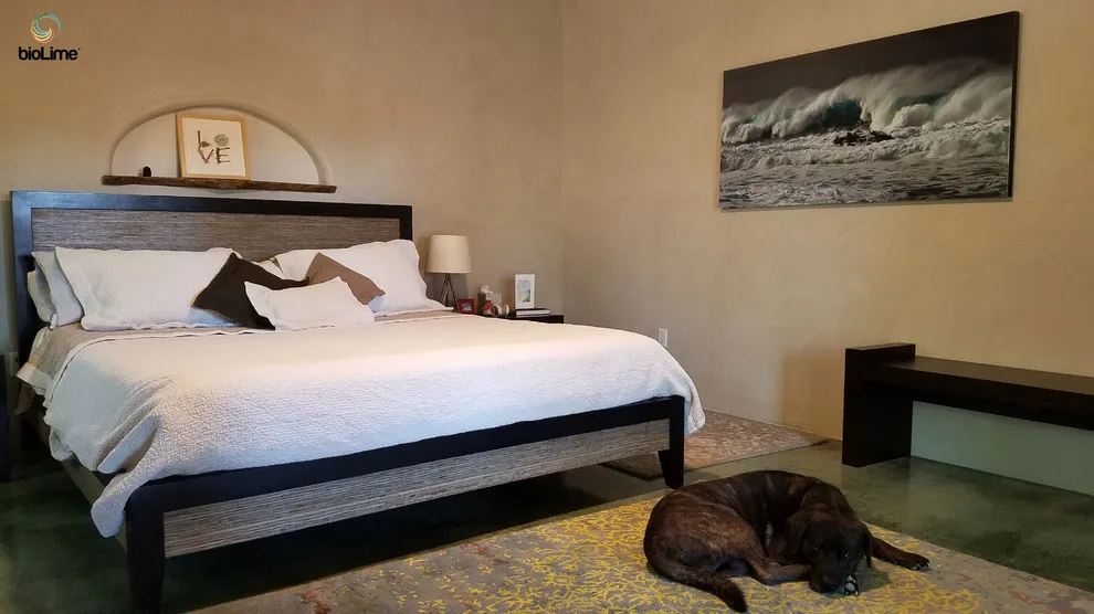 Residence in Historic Mesilla, New Mexico by BioLime LLC - Photo 4