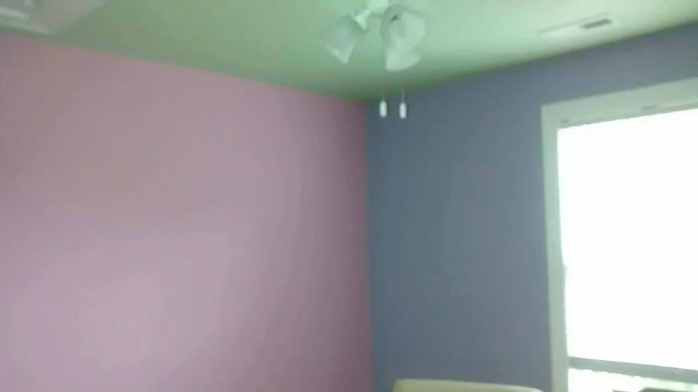 Hyde Painting And Home Improvement - Photo 14