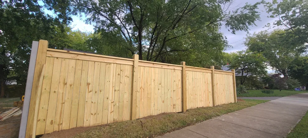 Wood Fence Replacement Project by Pro-Master Painting - Photo 9