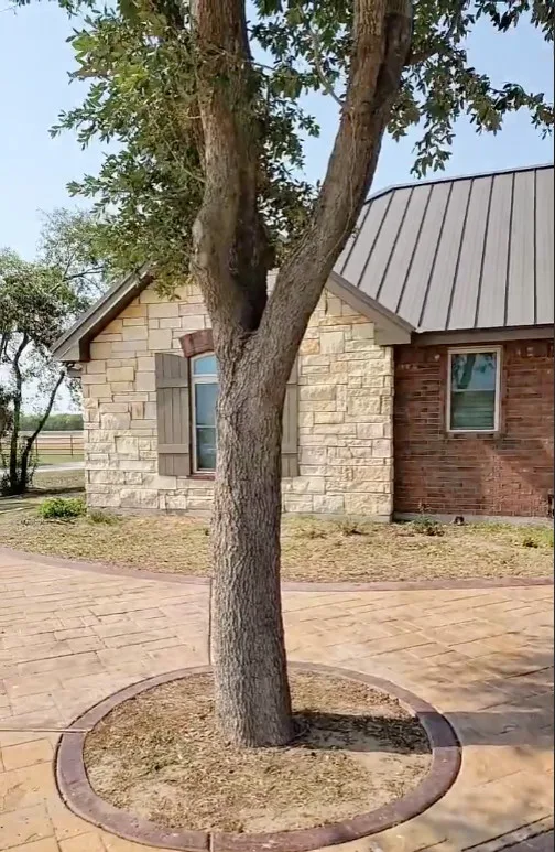 Fresh Coat Painters Of McAllen - Photo 10