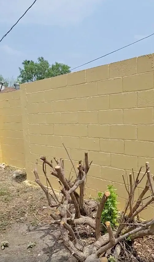 Fresh Coat Painters Of McAllen - Photo 2