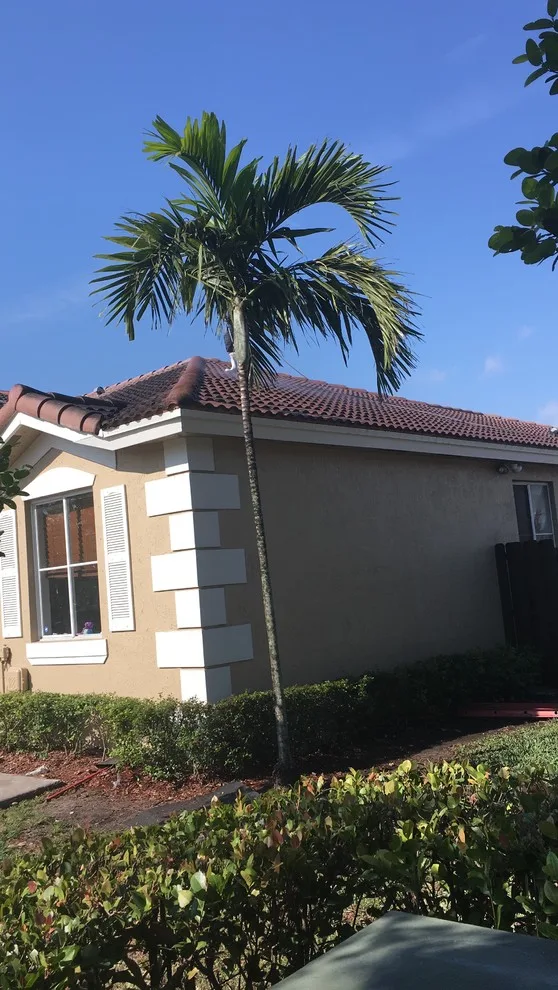 Renovation by Granusa Painting Solutions LLC - Photo 9