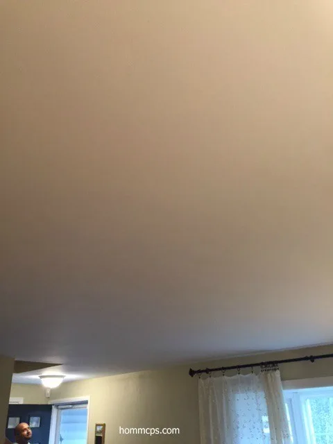 Ceiling Texture Removal by Hömm Certified Painting Systems - Photo 13