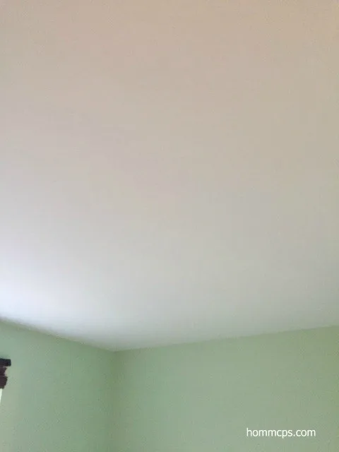 Ceiling Texture Removal by Hömm Certified Painting Systems - Photo 3