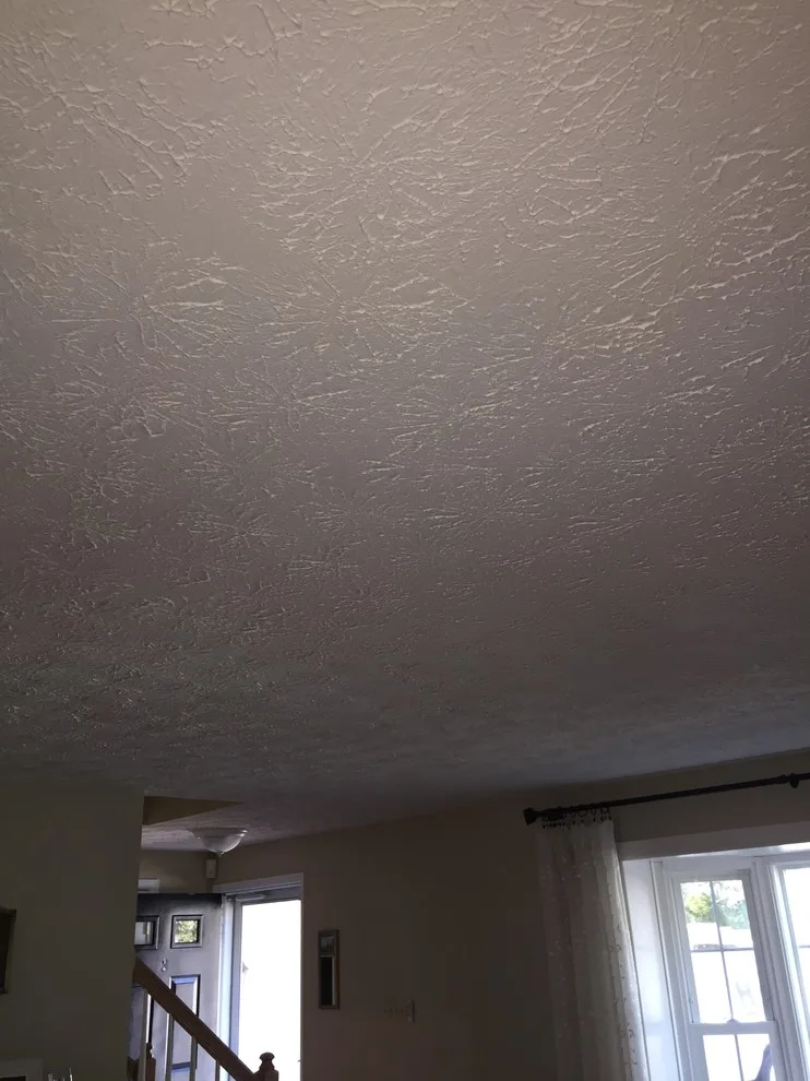 Ceiling Texture Removal by Hömm Certified Painting Systems - Photo 11