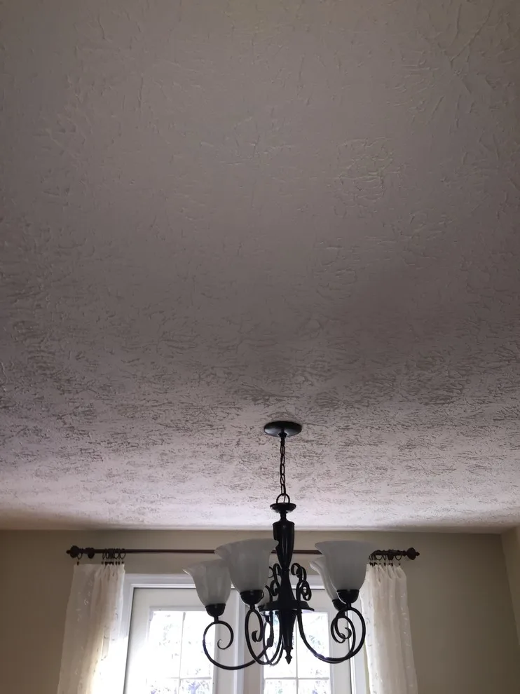 Ceiling Texture Removal by Hömm Certified Painting Systems - Photo 14