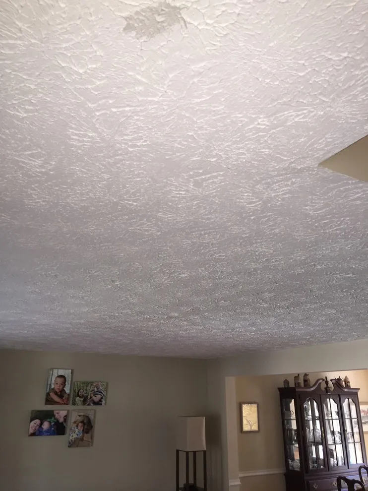 Ceiling Texture Removal by Hömm Certified Painting Systems - Photo 7