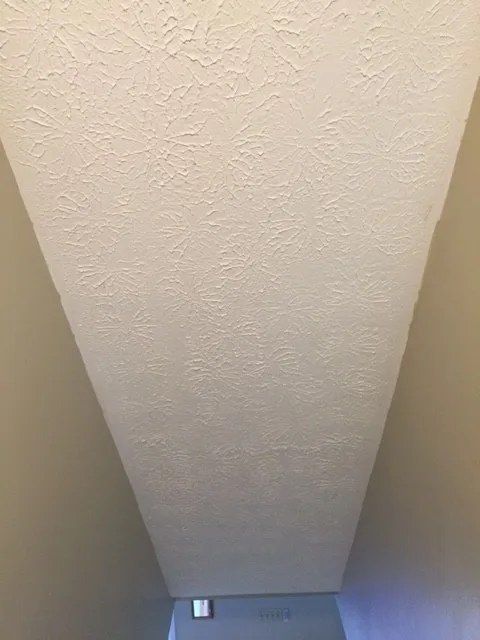 Ceiling Texture Removal by Hömm Certified Painting Systems - Photo 2