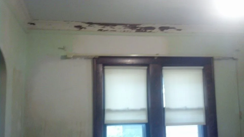Revamp by In And Out Painting LLC. - Photo 51