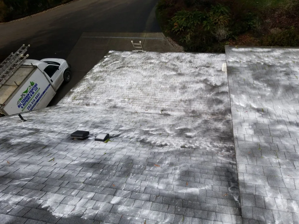 Roof and Gutter Maintenance by All Terrain Painting & Repairs NW - Photo 4