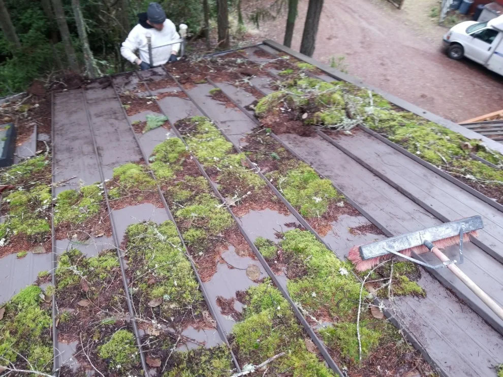 Roof and Gutter Maintenance by All Terrain Painting & Repairs NW - Photo 3