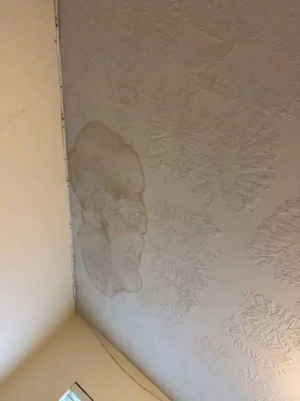 Delgado's Painting LLC - Photo 8