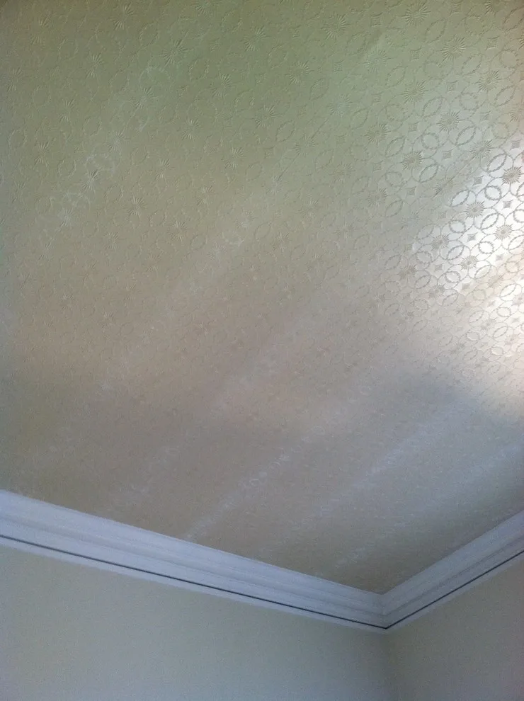 Tech Painting Company - Photo 5
