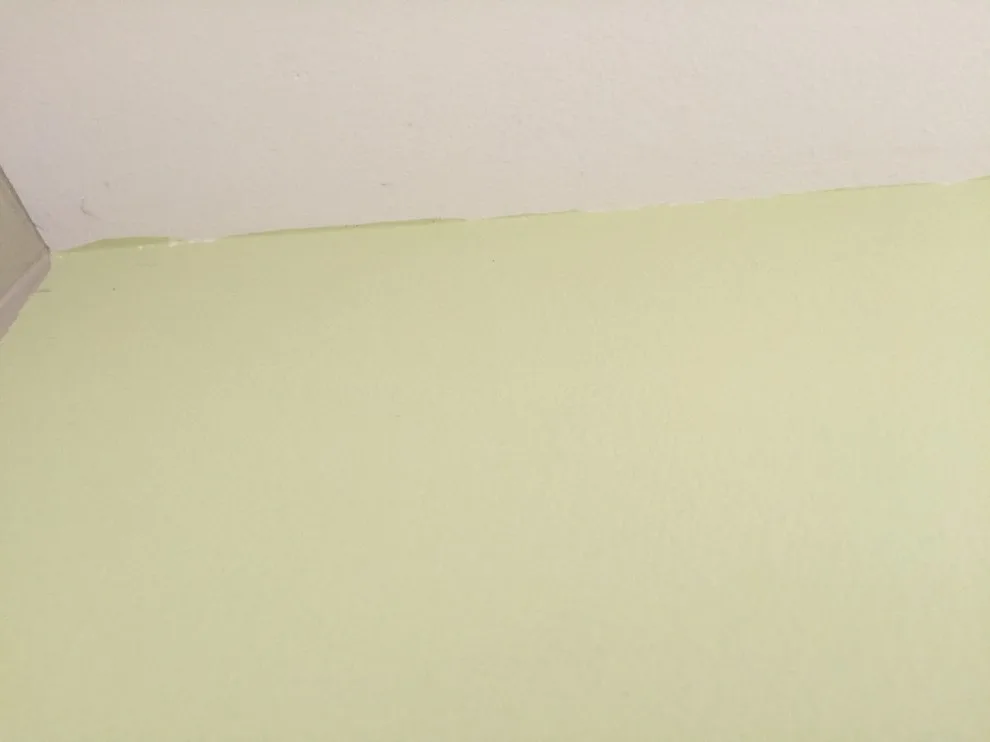 Sonja's Condo Selling Preparation by Speed Pro Painting - Photo 4