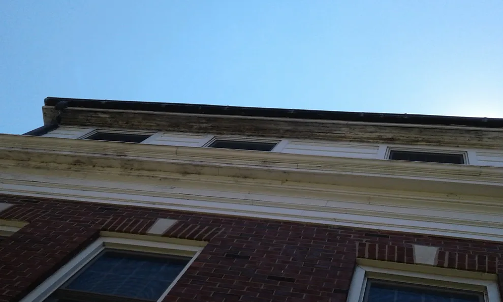 Sisterhood Residence by Blue Sky Painting - Photo 12