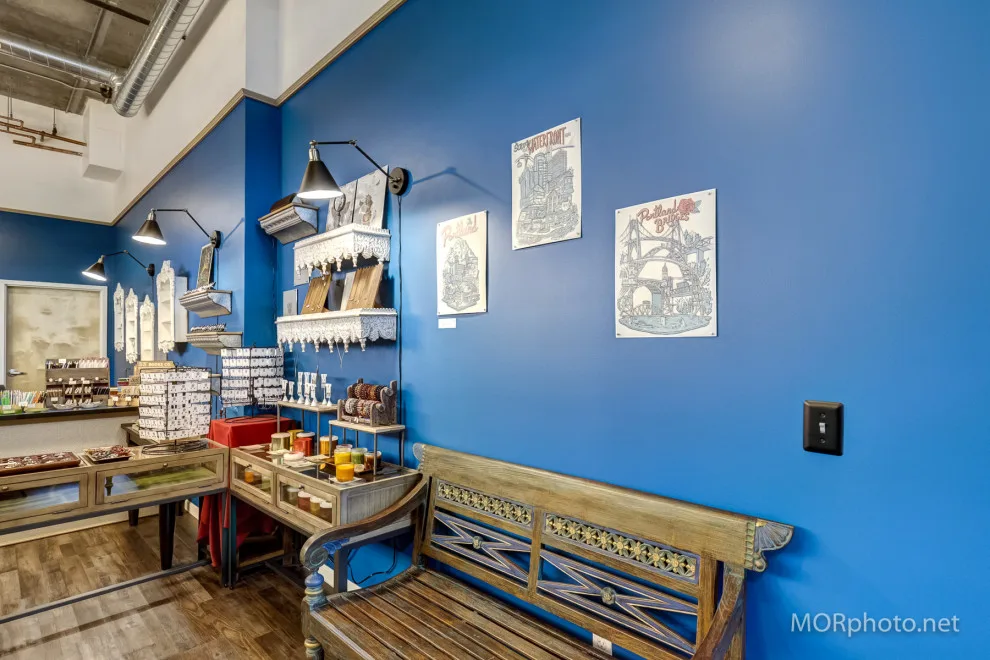 South Waterfront Interior Design by Sisu Painting Inc. - Photo 8