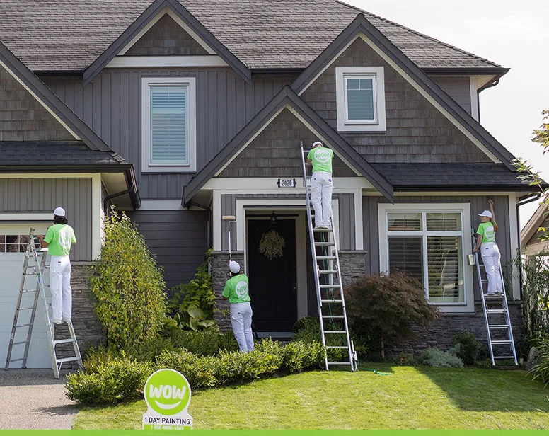 Outdoor Coating by Wow 1 Day Painting - Photo 10