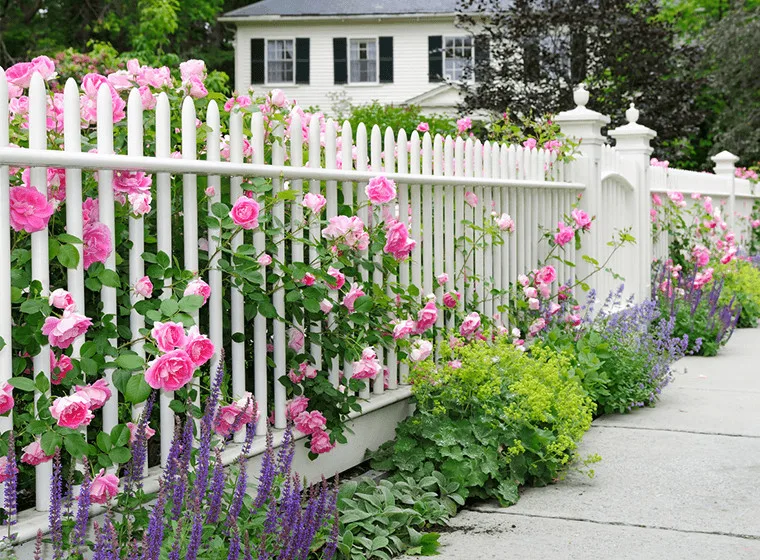 Outdoor Coating by Wow 1 Day Painting - Photo 22