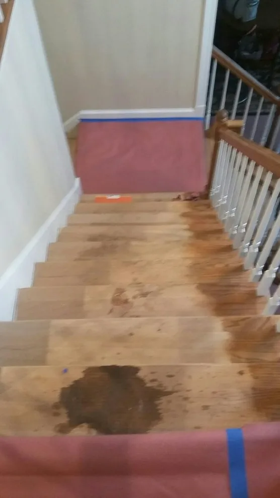 Staircase Restoration by Donahue Painting &Refinishing - Photo 4