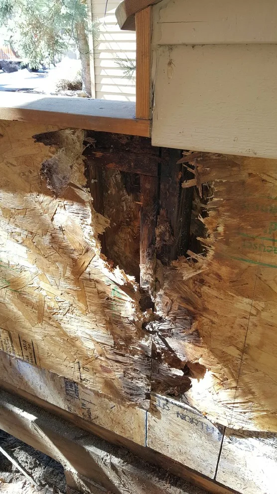 Webfoot Home Improvements - Photo 12