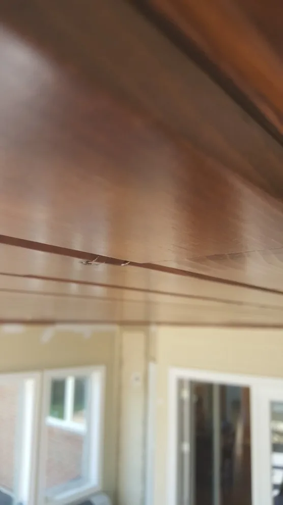 Stained Roof Sunroom by Collins Painting - Photo 3