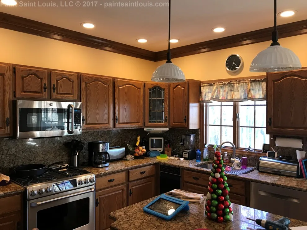 Twilight Meadows - 2018 by Paint Saint Louis, LLC - Photo 9