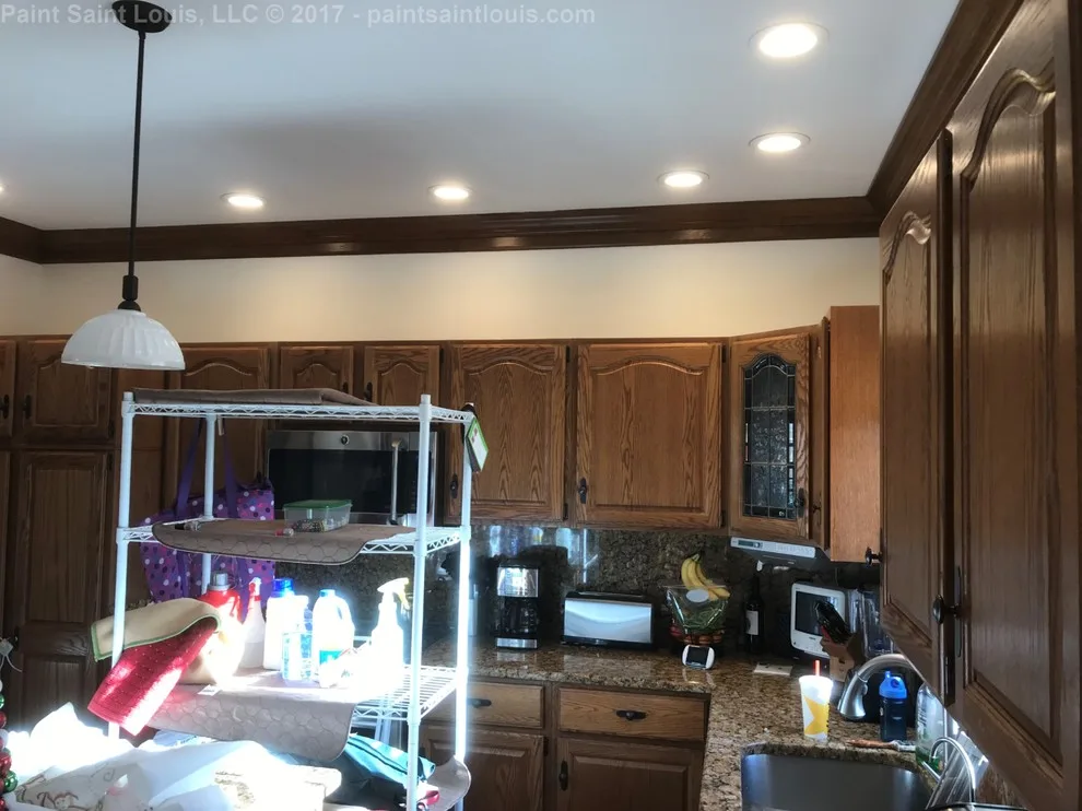 Twilight Meadows - 2018 by Paint Saint Louis, LLC - Photo 21