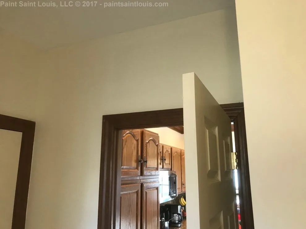 Paint Saint Louis, LLC - Photo 9