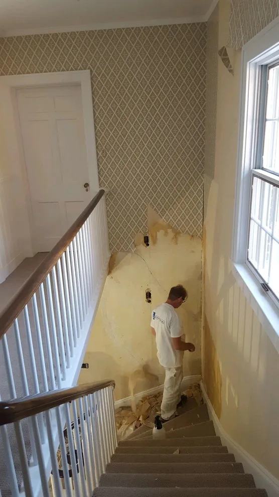 Swanson Wallpaper Stripping by CR Painting - Photo 5