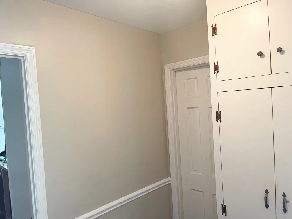 The Concealment of Wall Paneling by Cover All Paints LLC - Photo 7