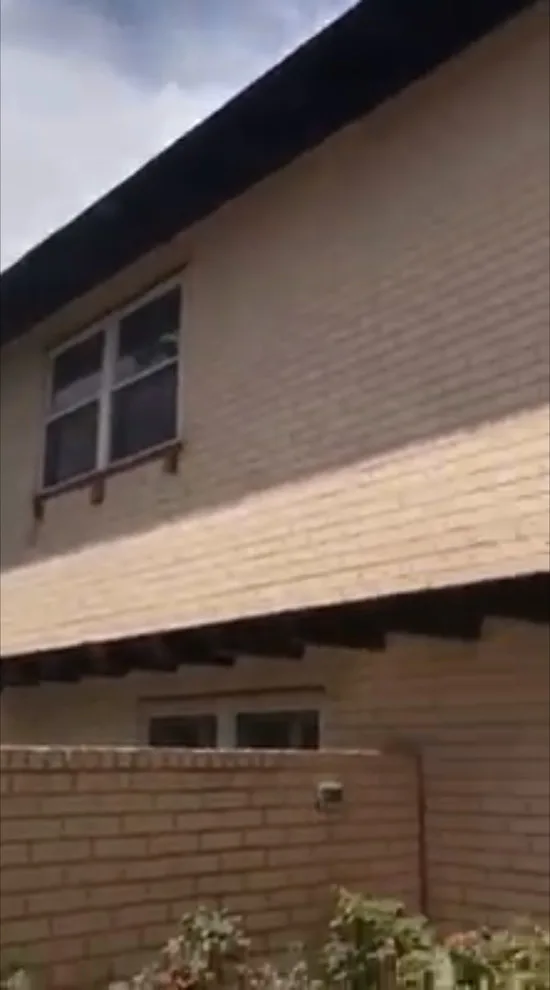 The Midcentury Marvel by The Abilene Painters - Restoration & Remodel - Photo 19