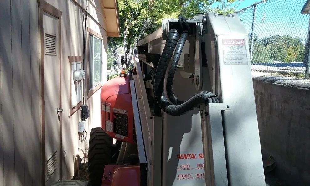Tree Extraction by Farthing Painting Service - Photo 4