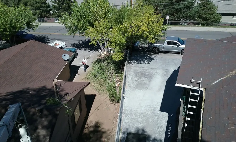 Tree Extraction by Farthing Painting Service - Photo 2
