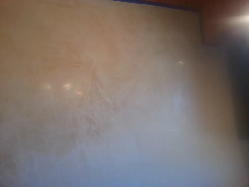 Inspiration for Venetian Plaster Finishes by Bkny Painting - Photo 10