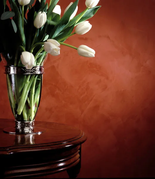 Inspiration for Venetian Plaster Finishes by Bkny Painting - Photo 4