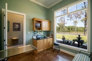 Veterinary initiative, created in 2014 by Zion Painting & Drywall LLC - Photo 10
