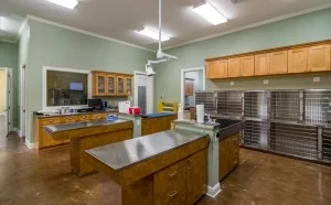 Veterinary initiative, created in 2014 by Zion Painting & Drywall LLC - Photo 13