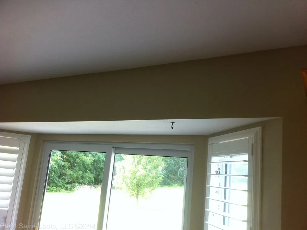Paint Saint Louis, LLC - Photo 13