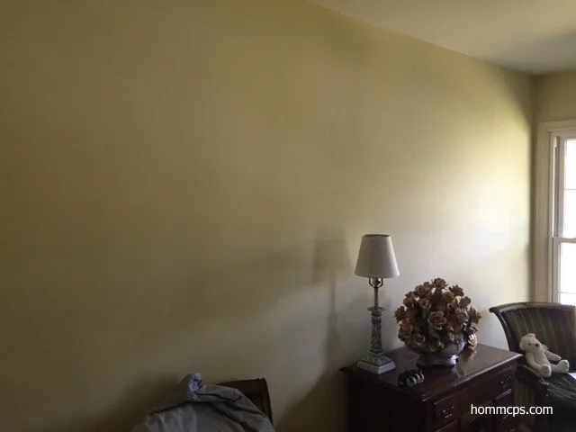 Wallpaper Extraction in Potomac, MD by Hömm Certified Painting Systems - Photo 4