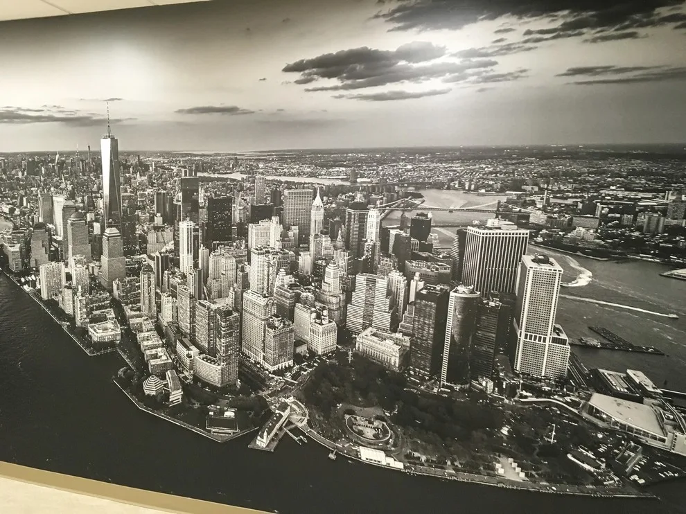 bkny Painting Wallcoverings by Bkny Painting - Photo 18