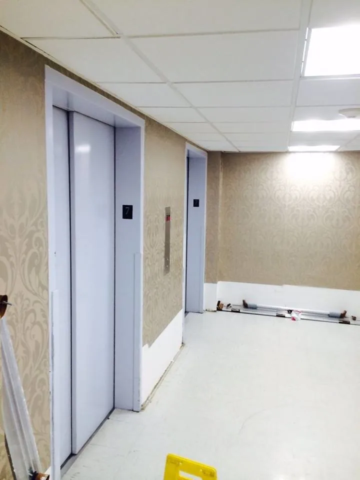 bkny Painting Wallcoverings by Bkny Painting - Photo 20