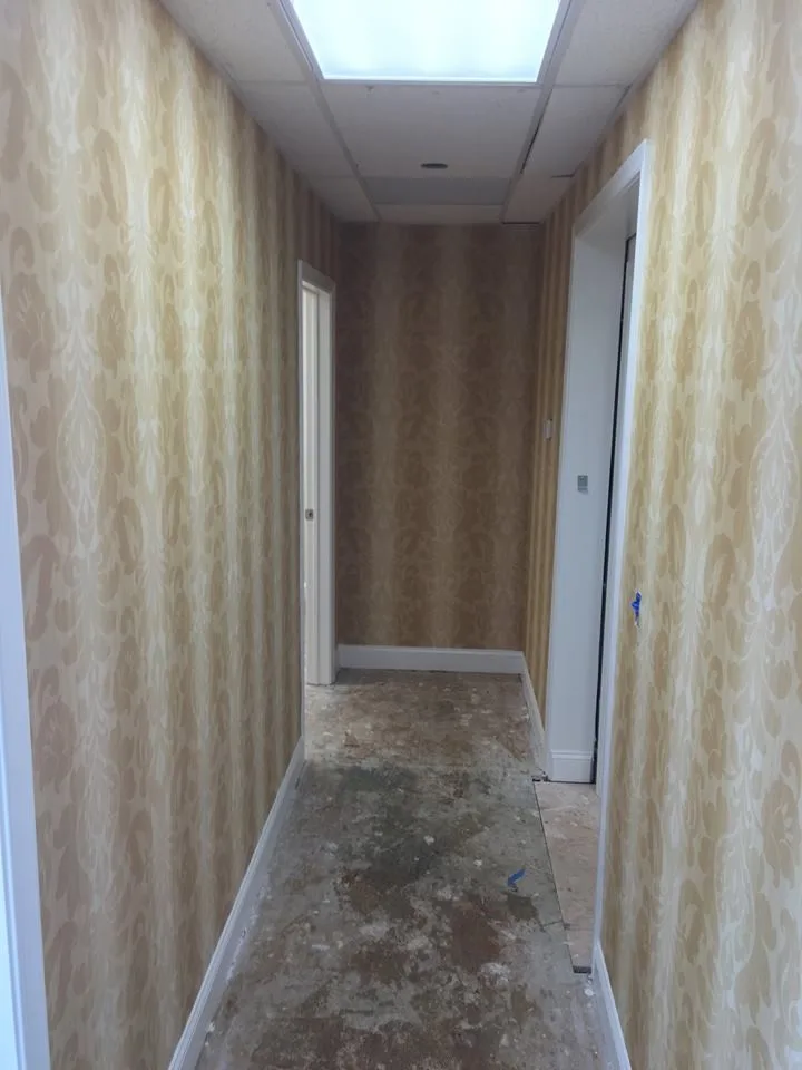 bkny Painting Wallcoverings by Bkny Painting - Photo 14