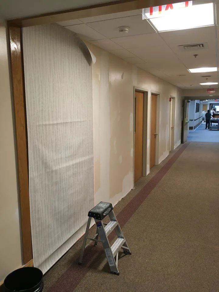 bkny Painting Wallcoverings by Bkny Painting - Photo 5